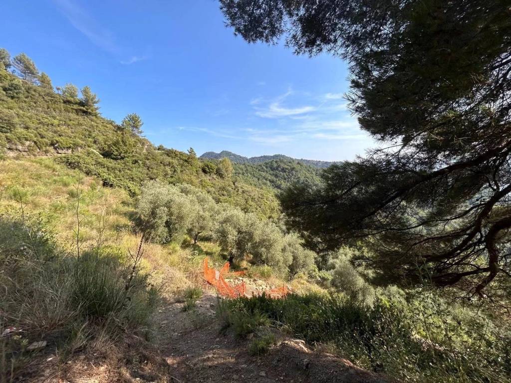 Rustico / casale a Ventimiglia in Frazione Verrandi, 9 - Foto 4