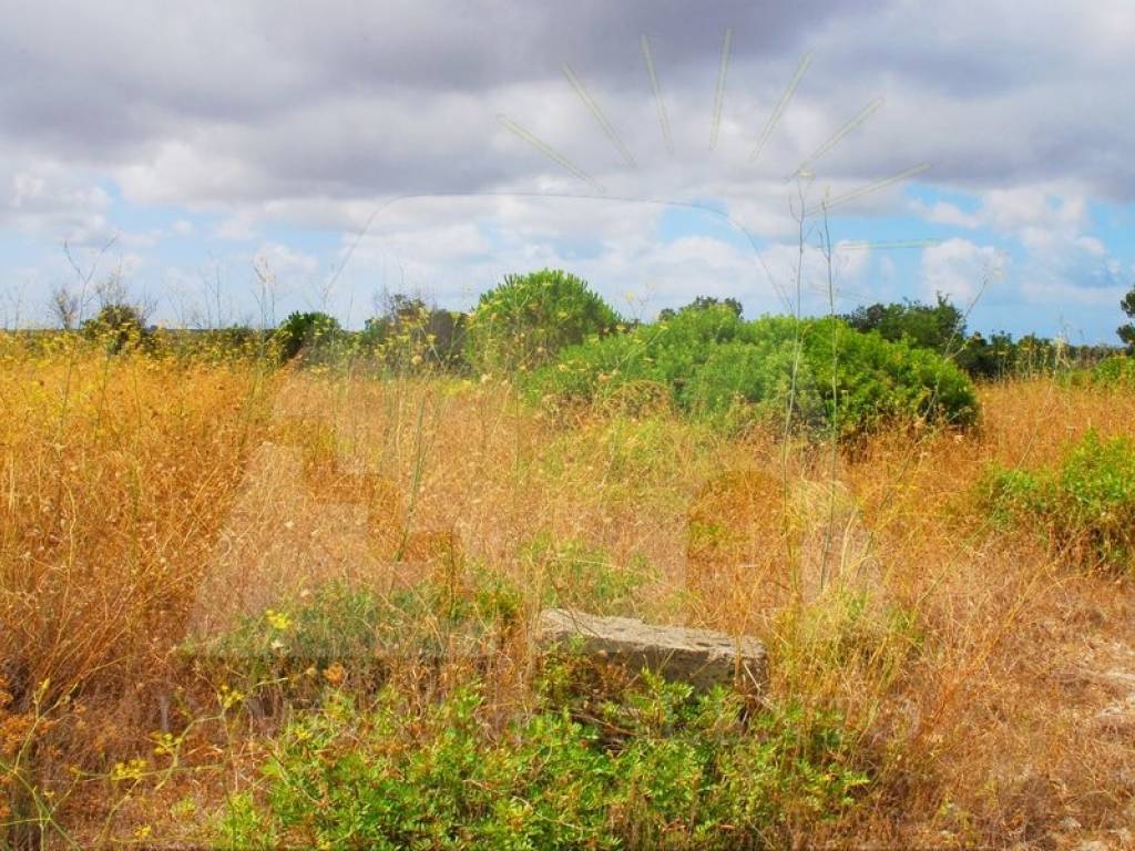 Terreno a Alessano in Strada Comunale Rovigliane Lacco - Foto 3