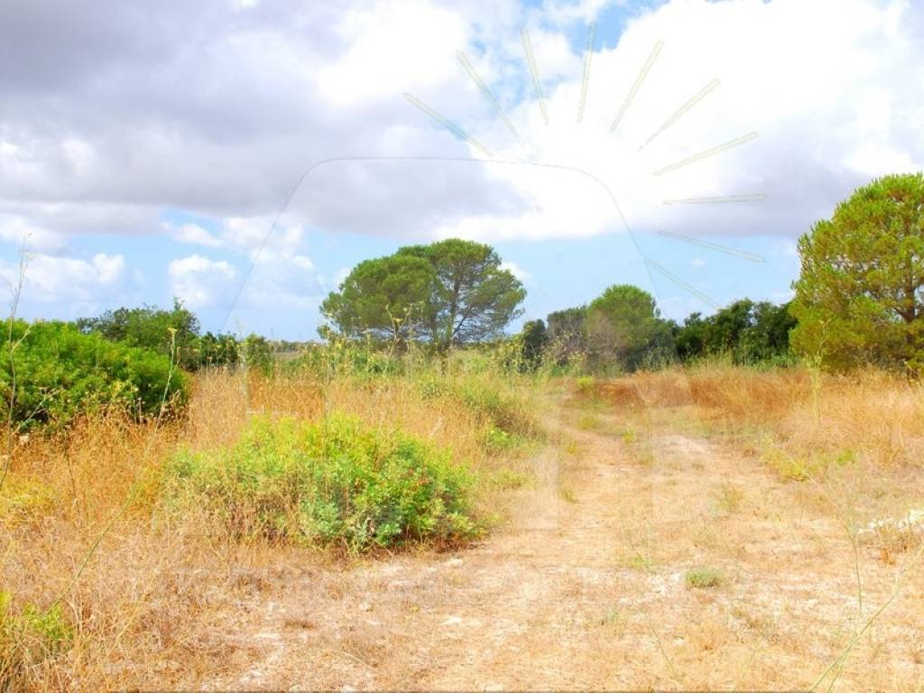 Terreno a Alessano in Strada Comunale Rovigliane Lacco - Foto 4