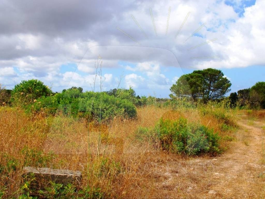 Terreno a Alessano in Strada Comunale Rovigliane Lacco - Foto 5