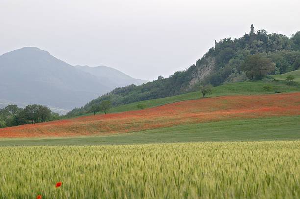 Terreno a Vigolzone - Foto 2