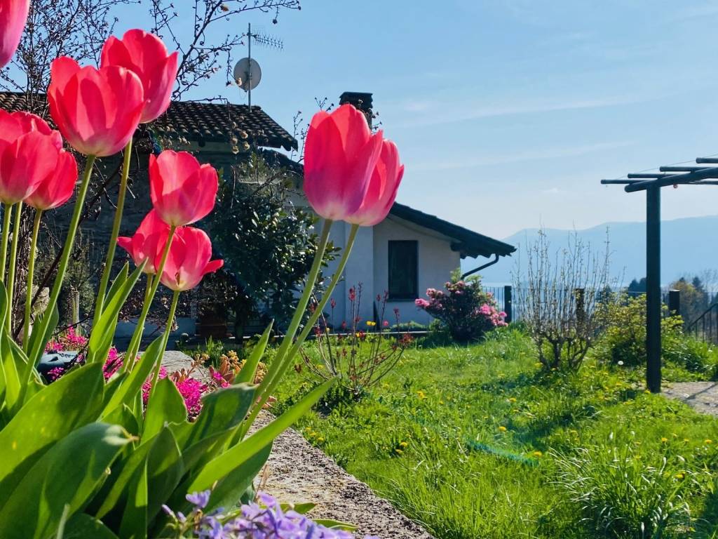 Villa a Ghiffa in Via De Simoni - Foto 3