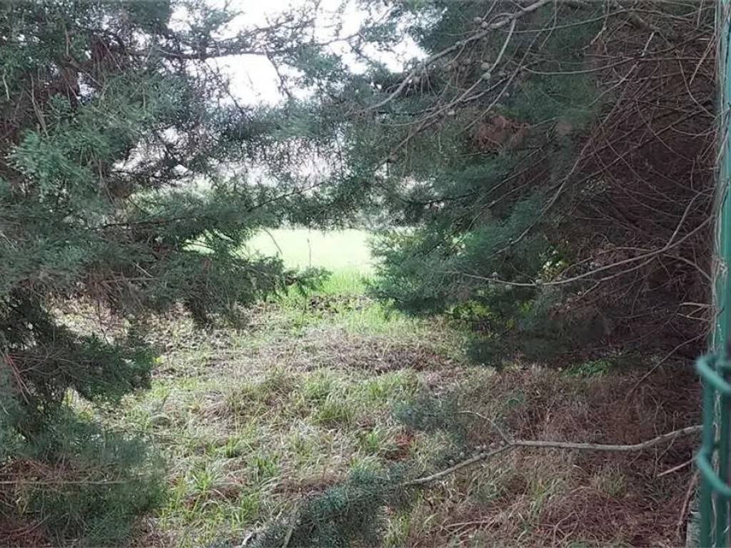 Terreno a Gualdo tadino - Foto 4