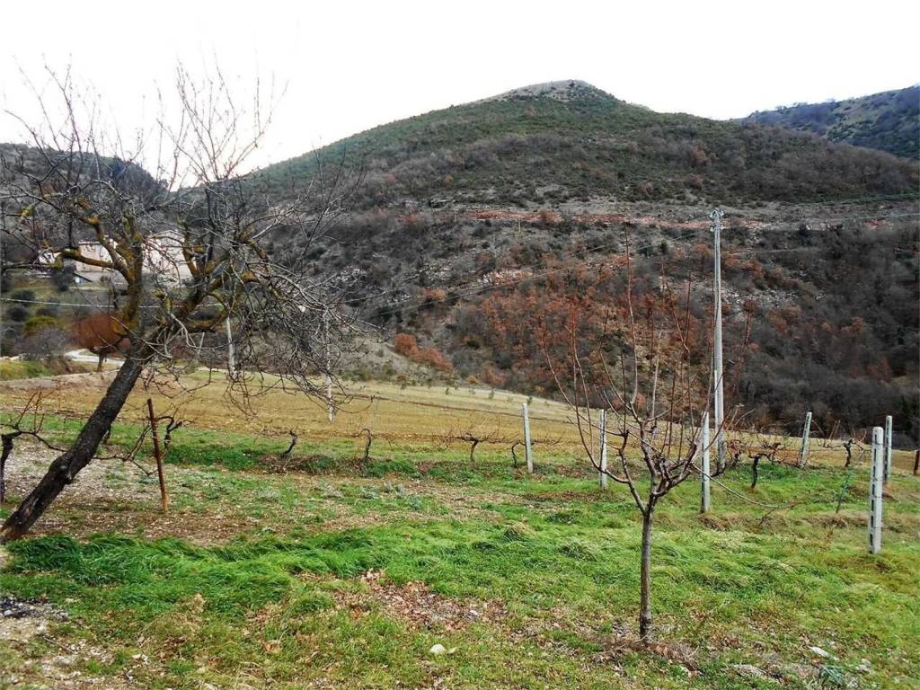 Terreno a Gubbio - Foto 2