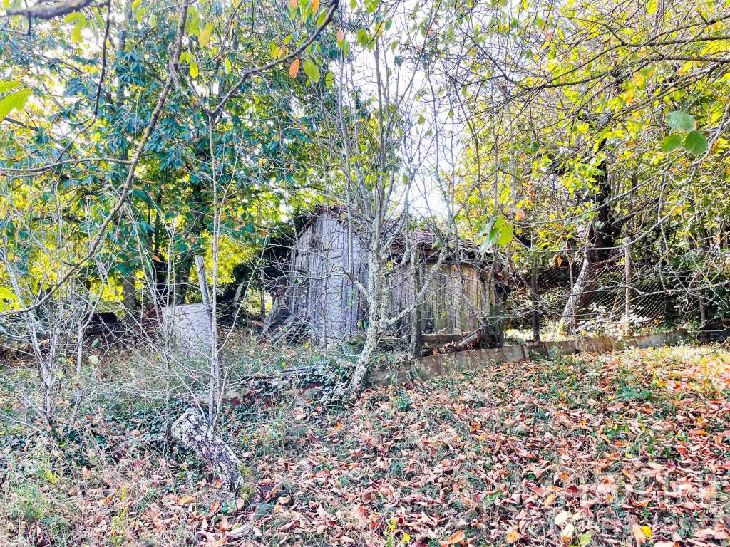 Terreno a Montieri - Foto 2