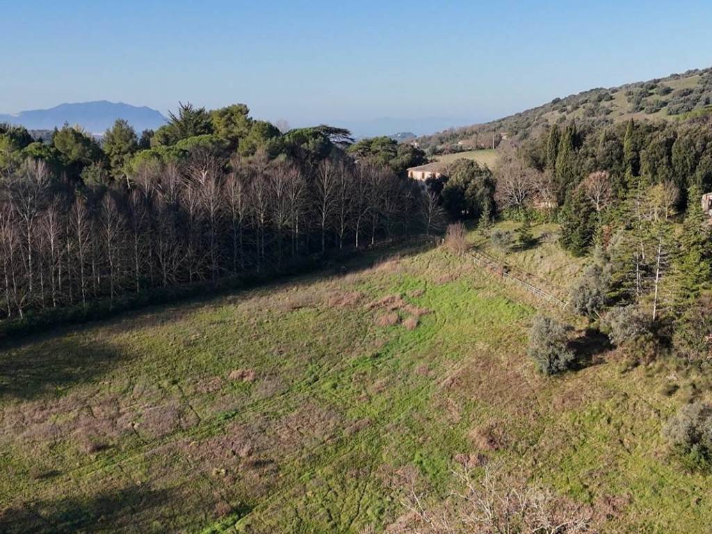Rustico / casale a Torri in sabina in Colle Calvio - Foto 2