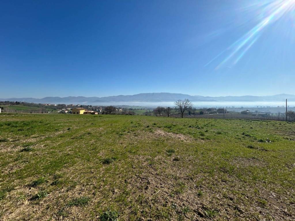Terreno a Montefalco in Località Case San Valentino - Foto 4