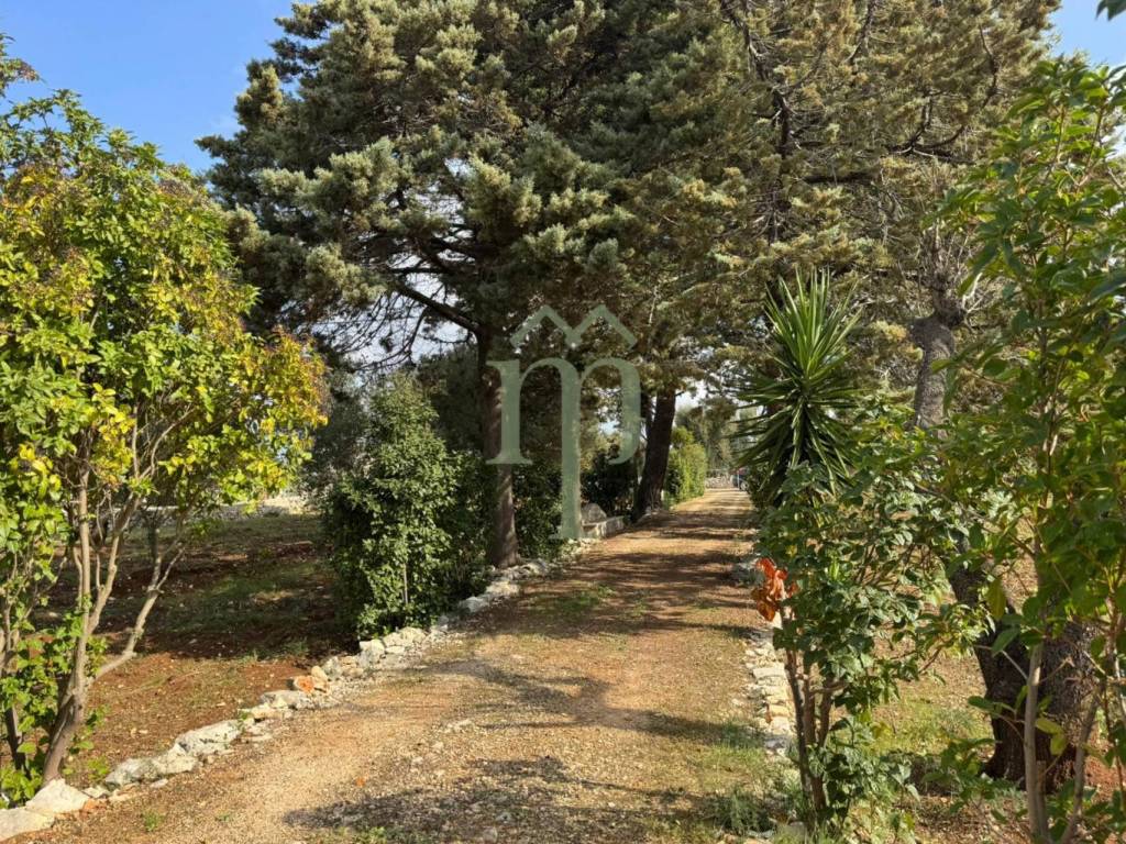 Rustico / casale a Carovigno in carovigno - Foto 3