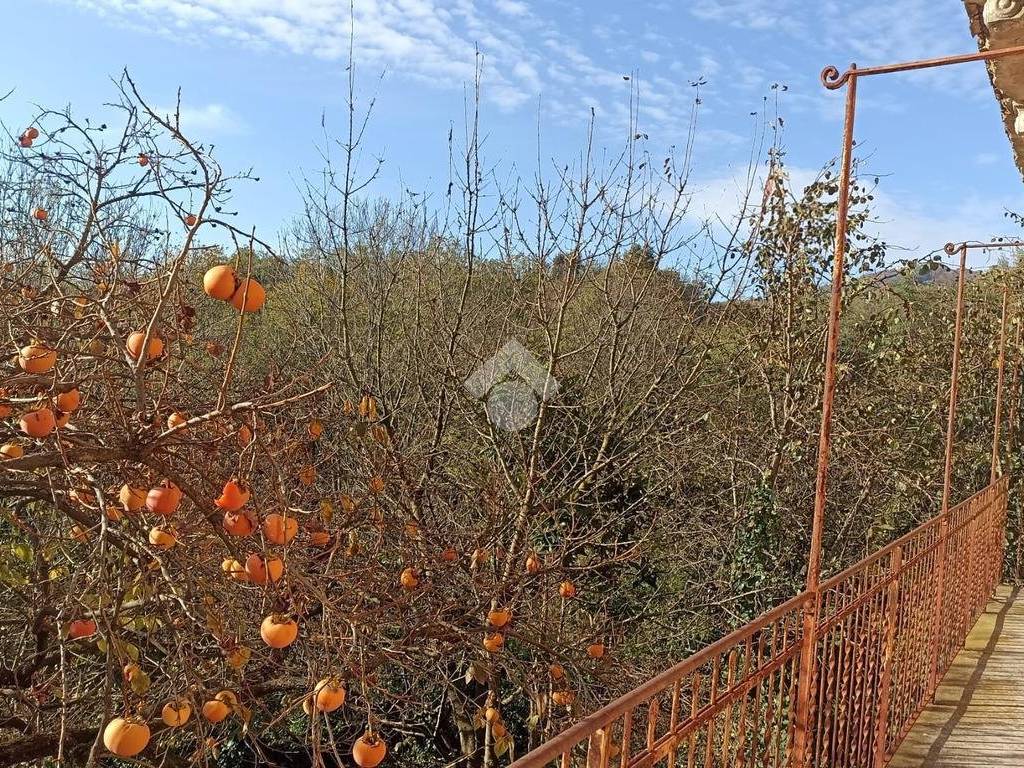 Casa indipendente a Strona in Frazione Ramaccio - Foto 3