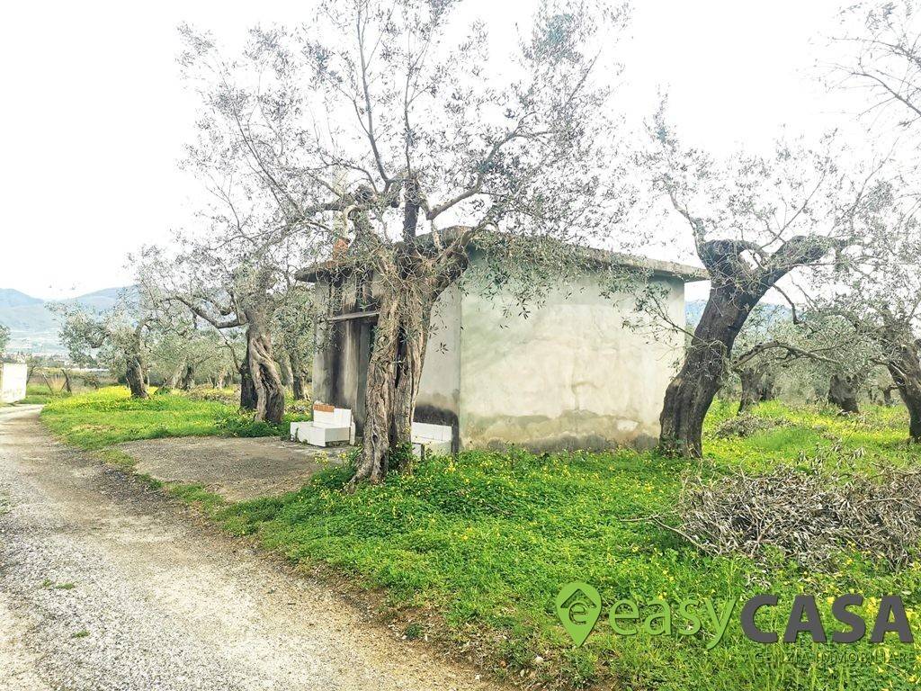 Terreno a Montecorvino rovella in Contrada Rezzaro - Foto 2