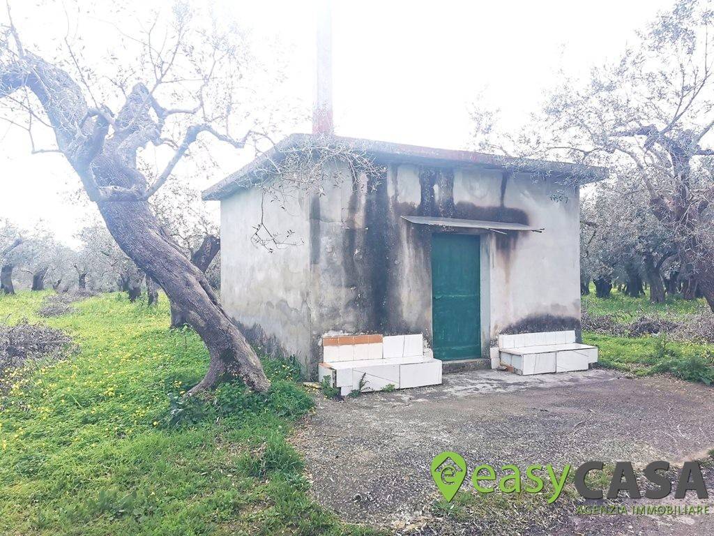Terreno a Montecorvino rovella in Contrada Rezzaro - Foto 3