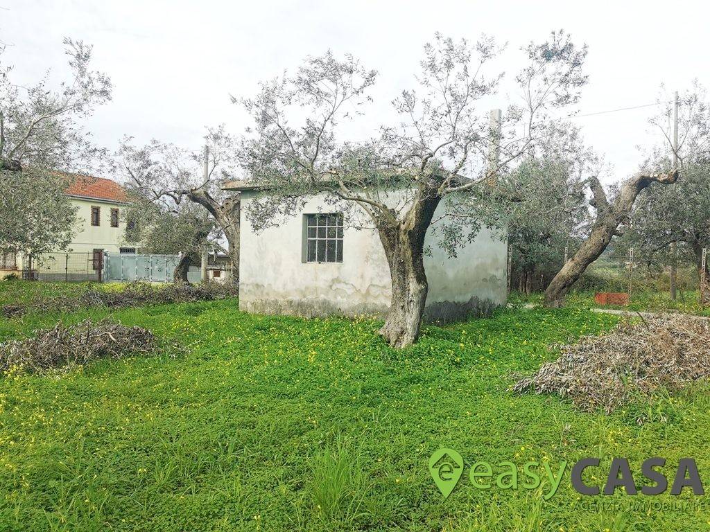 Terreno a Montecorvino rovella in Contrada Rezzaro - Foto 4