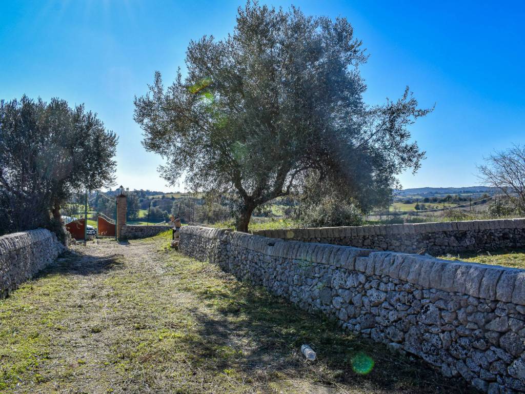 Rustico / casale a Noto in Via Tommaso Fazello, 228 - Foto 3