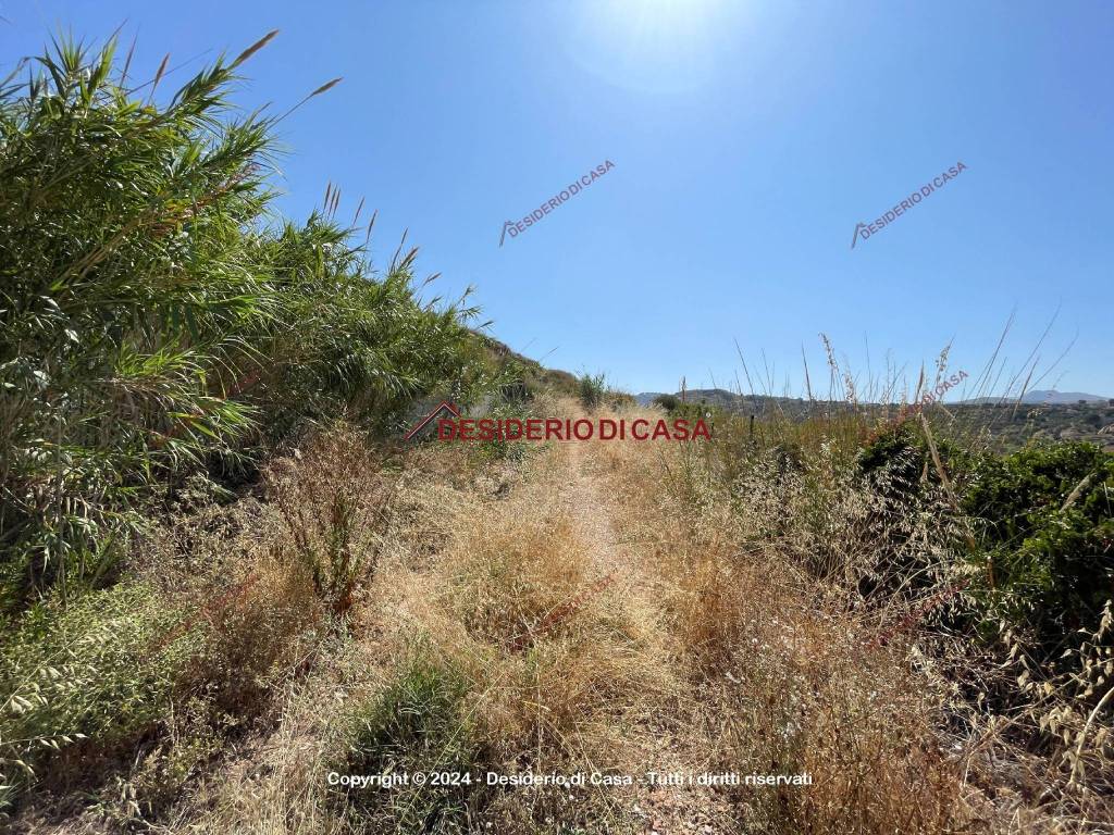 Terreno a Altavilla milicia - Foto 2