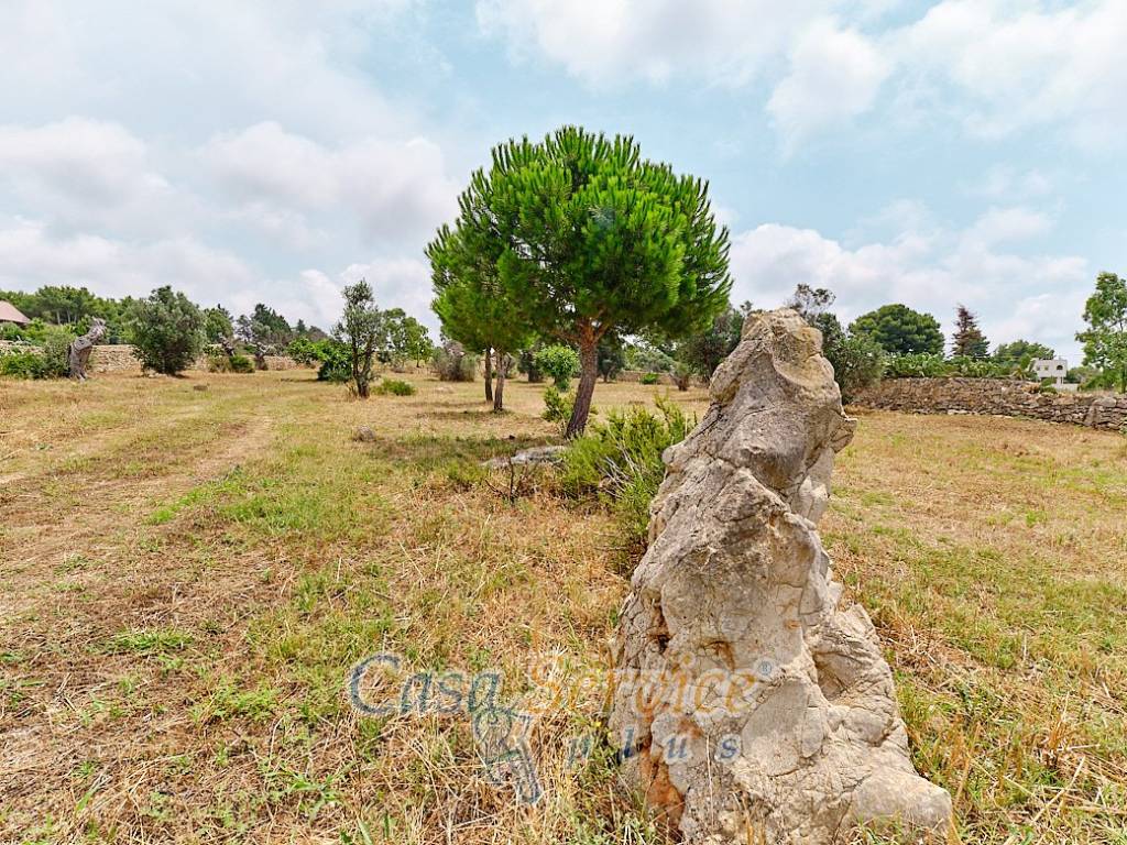 Terreno a Racale in Strada Comunale Fiumi Marina - Foto 3