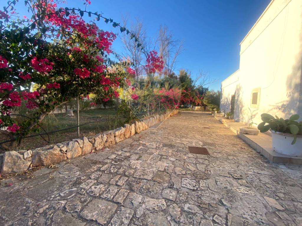 Rustico / casale a Carovigno in Torre Guaceto - Foto 4