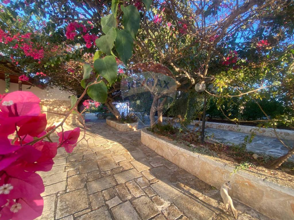 Rustico / casale a Carovigno in Torre Guaceto - Foto 5