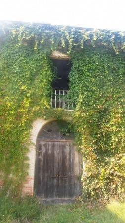 Rustico / casale a Modena in Strada Villanova, 120 - Foto 4