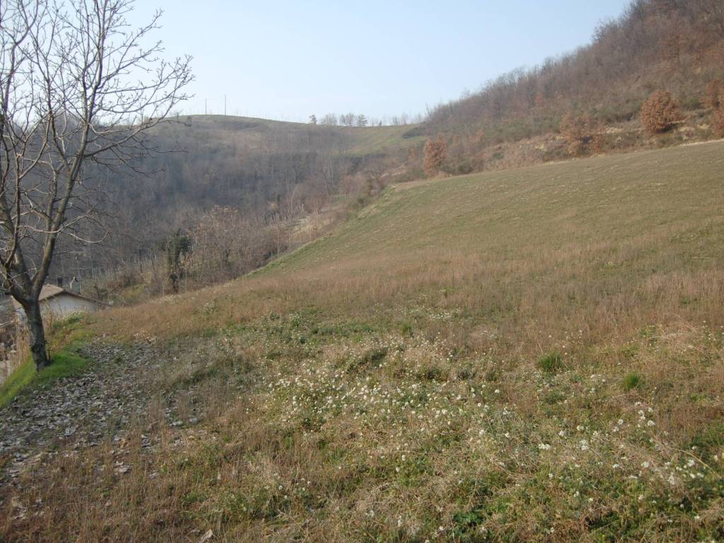 Terreno a Borgo priolo in Torre del Monte - Foto 5