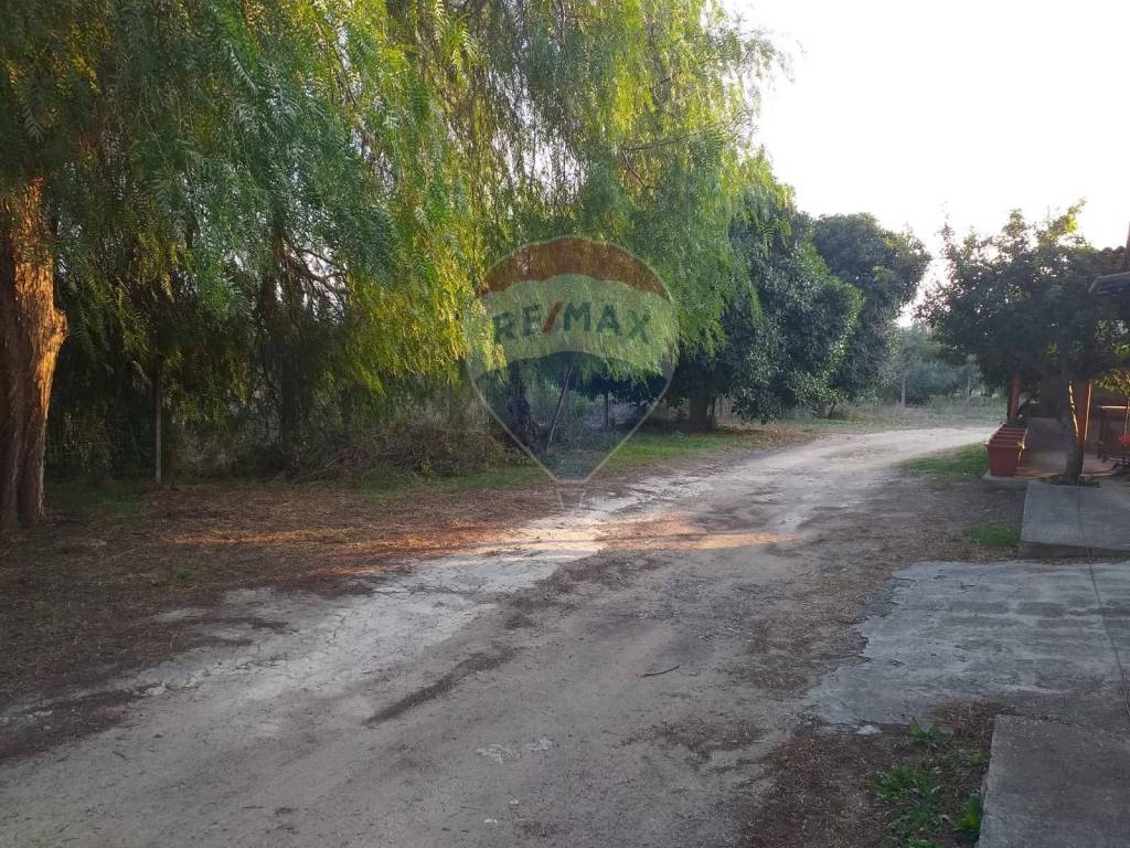 Rustico / casale a Lentini in Contrada Val Savoia sp. 67 - Foto 3