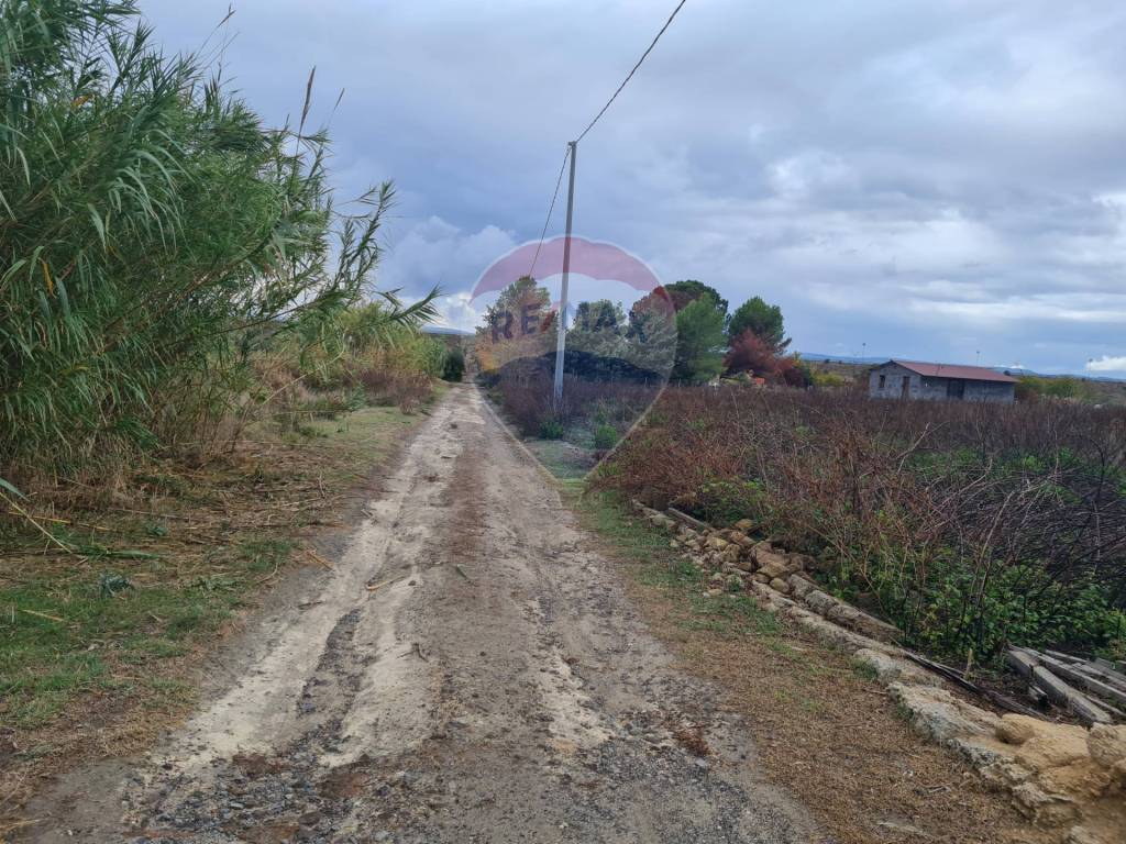 Terreno a Lentini in Via Maniago S.p. 67 - Foto 3
