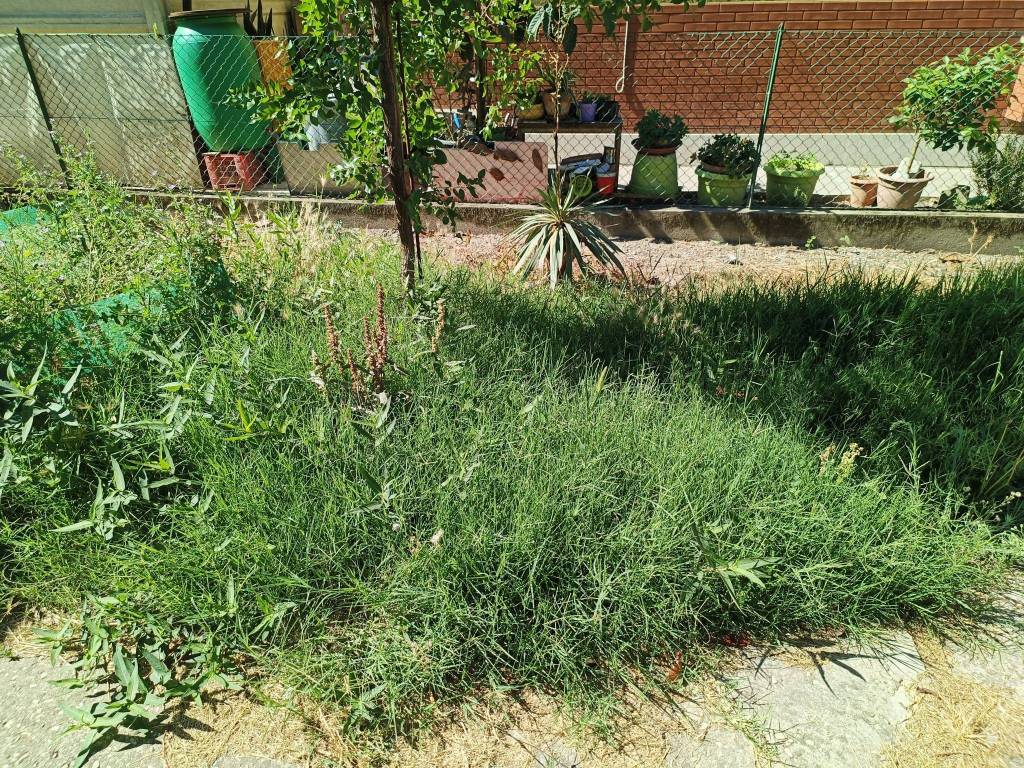 Villa a Conselice in Via Giacomo Puccini, 18 - Foto 4