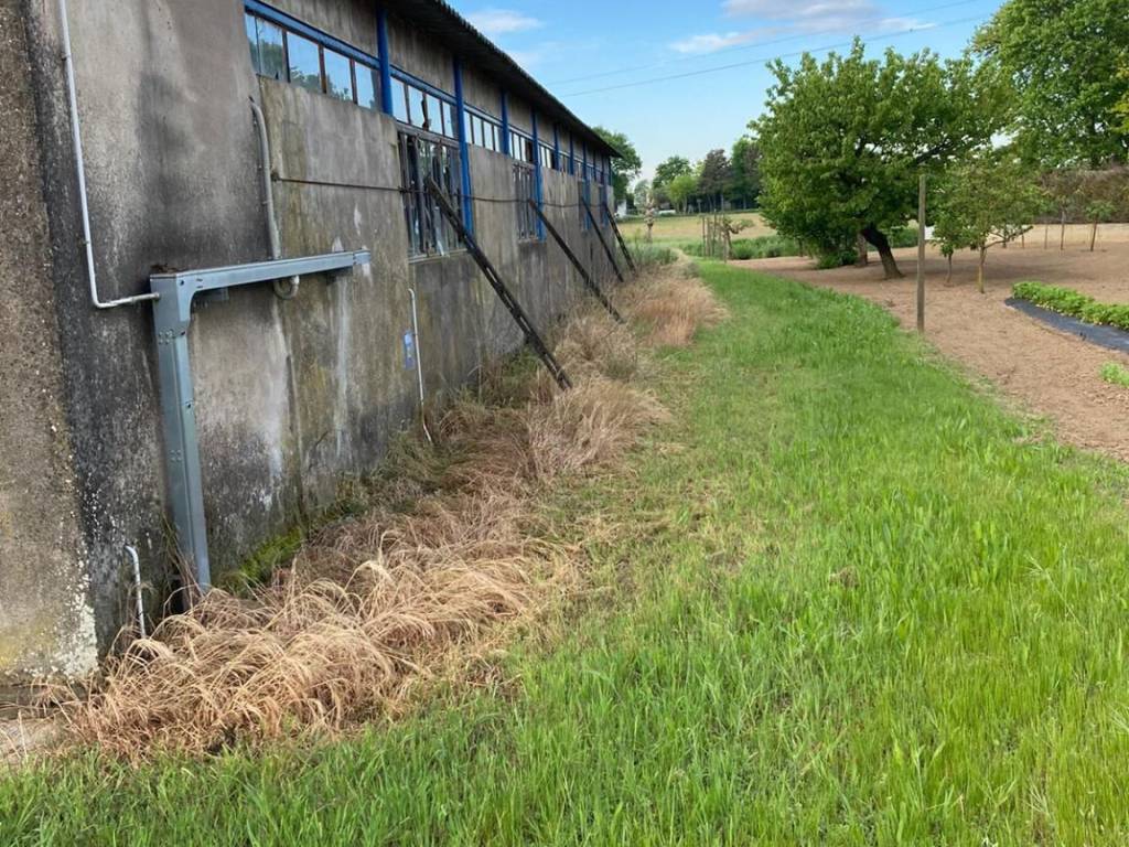 Villa a San pietro di morubio in Via Pioppazza - Foto 4