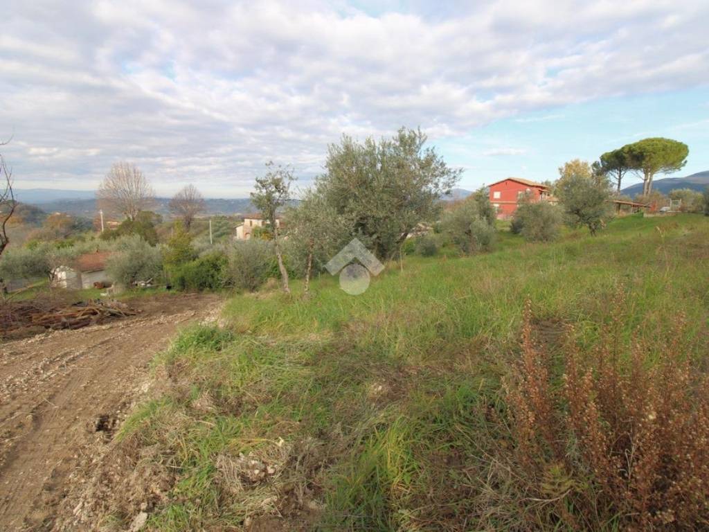 Terreno a Poggio mirteto in VIA BRICCARO - Foto 5