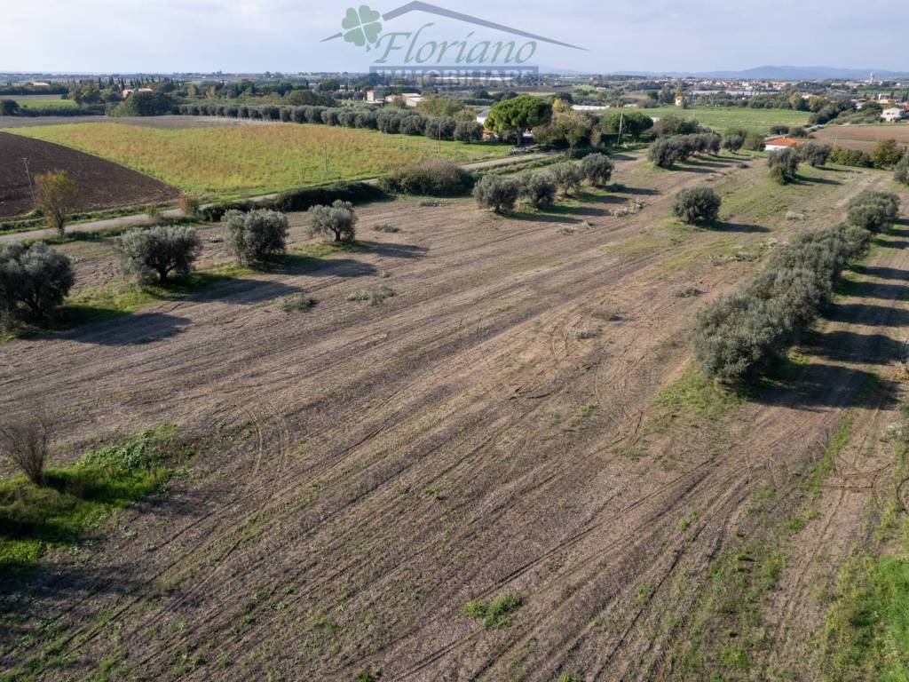 Terreno a Montalto di castro in Strada del Tirreno - Foto 3
