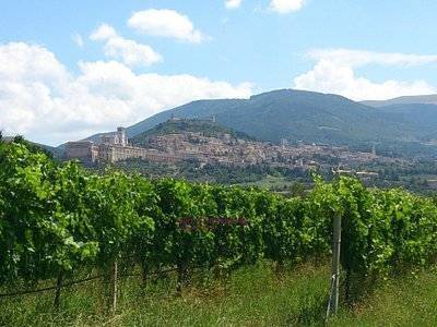 Appartamento a Assisi in viale Michelangelo - Foto 2