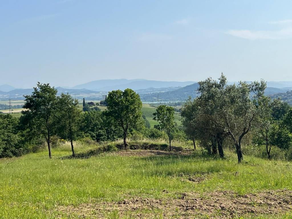 Rustico / casale a Piegaro in Vocabolo Vignaie, 27 - Foto 3
