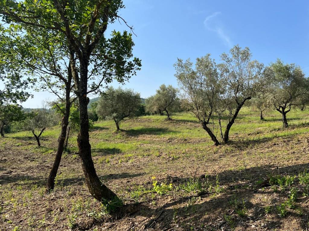 Rustico / casale a Piegaro in Vocabolo Vignaie, 27 - Foto 4