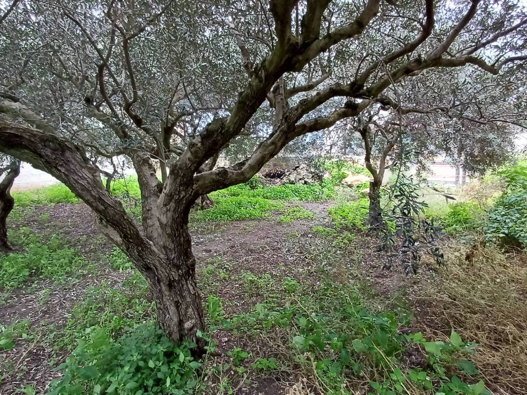 Rustico / casale a Marsala in Contrada Pispisia - Foto 5