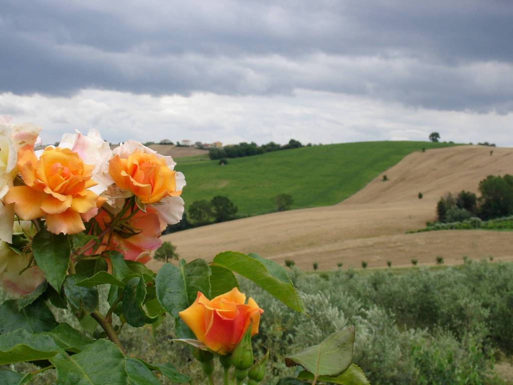 Rustico / casale a Recanati in Contrada Montefiore - Foto 4