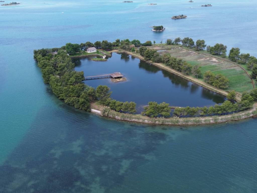 Villa a Grado in Isola Orbi - Foto 4