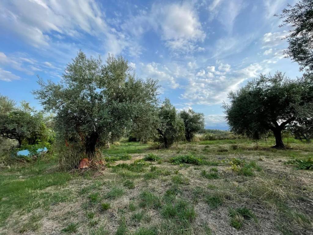 Terreno a Ripa teatina in Via Castelluccio - Foto 3
