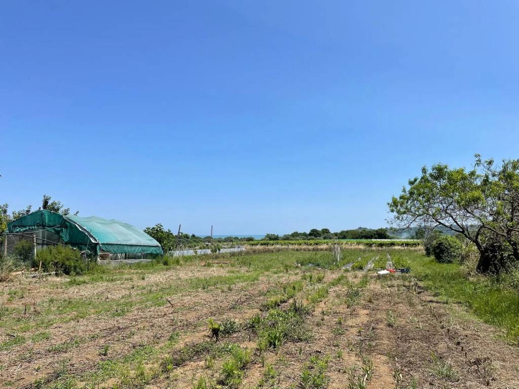 Terreno a Francavilla al mare in Piattelli - Foto 2