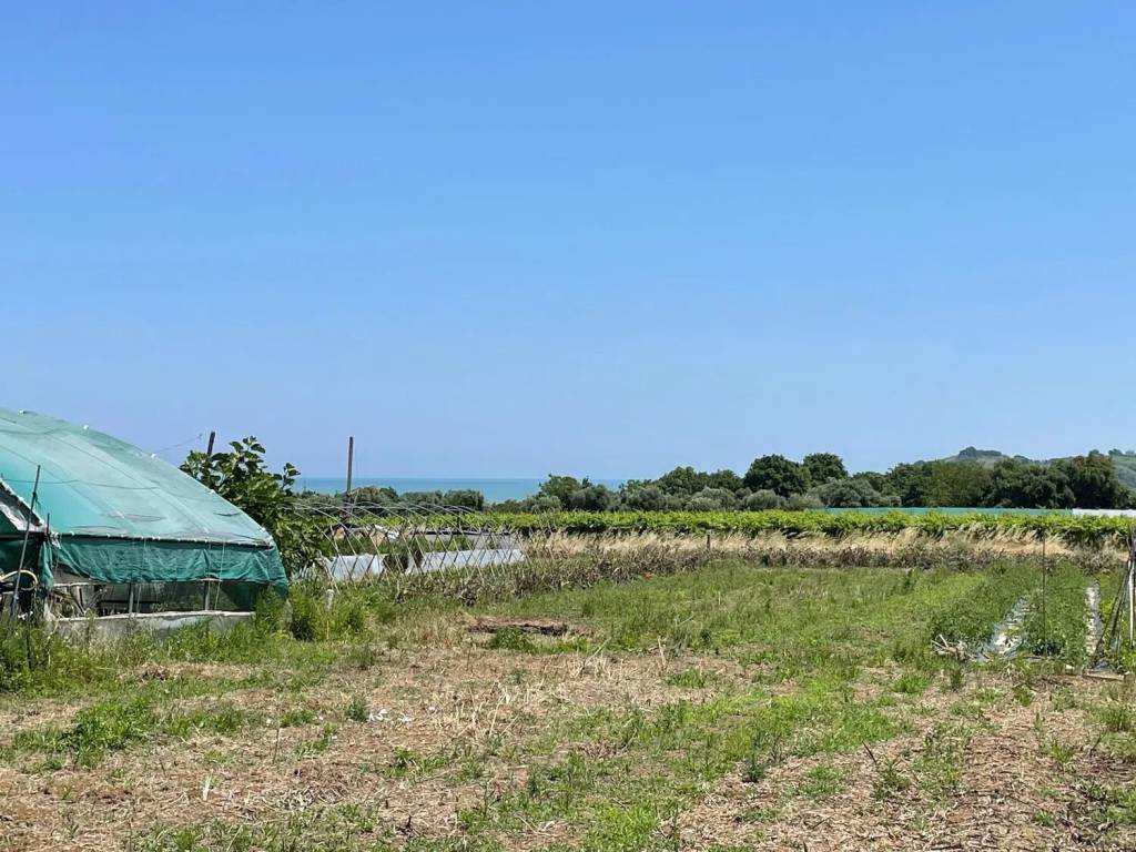Terreno a Francavilla al mare in Piattelli - Foto 3