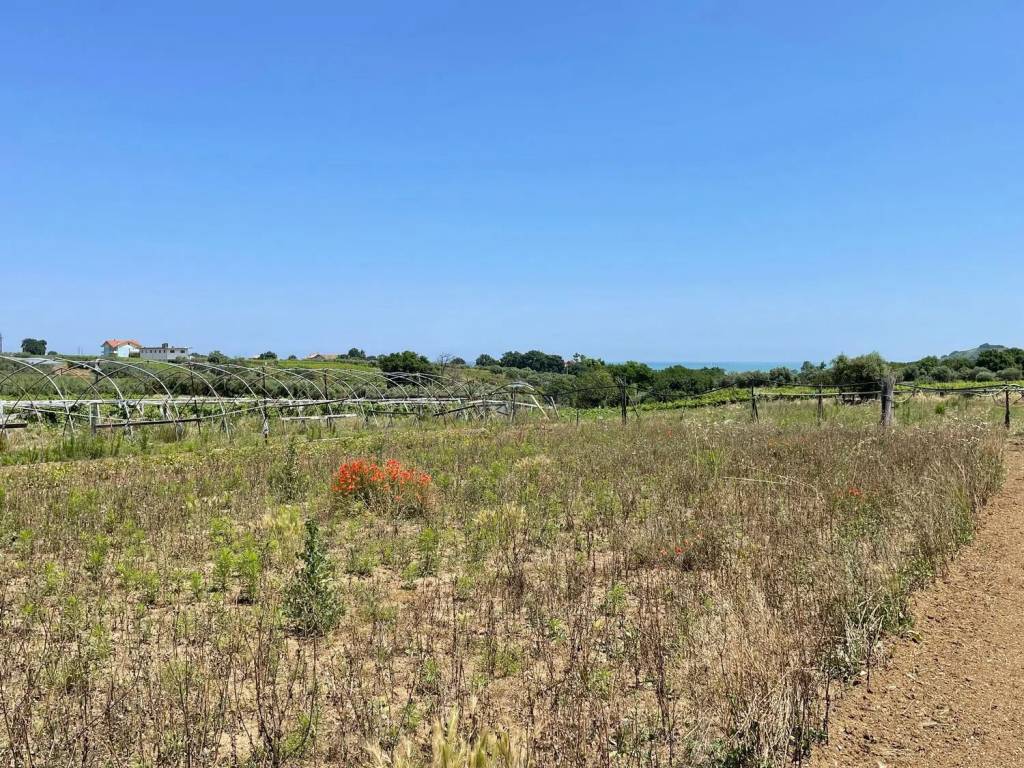 Terreno a Francavilla al mare in Piattelli - Foto 4