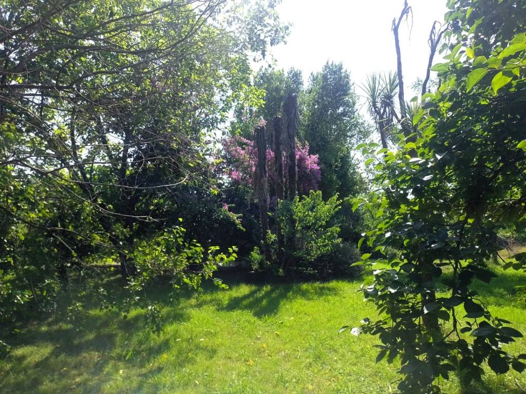 Villa a Sarzana in Località Mezzadrello - Foto 3