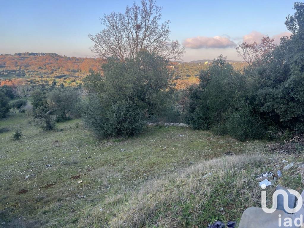 Terreno a Cisternino in Strada terrabona - Foto 2