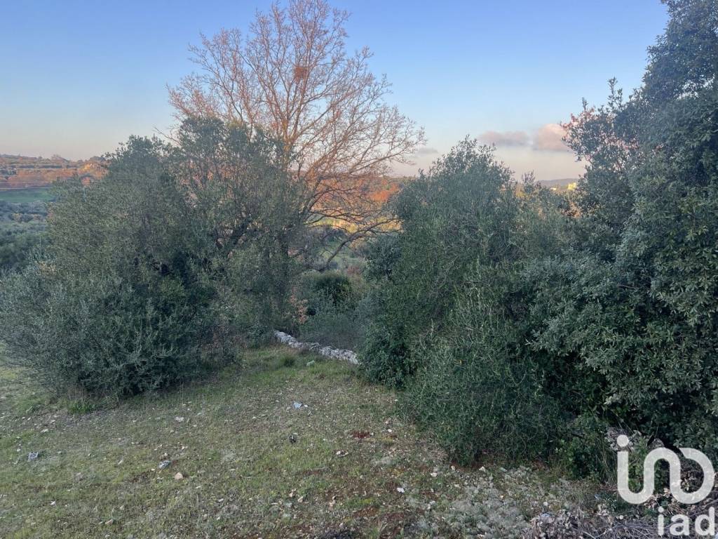Terreno a Cisternino in Strada terrabona - Foto 5