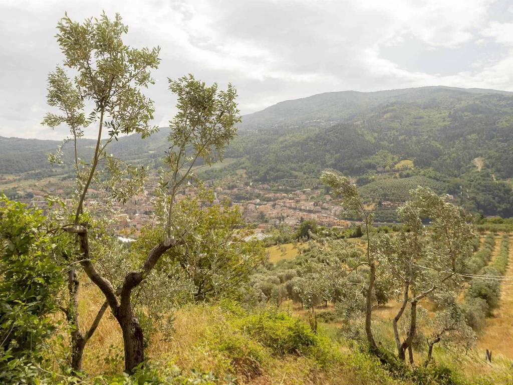 Casa indipendente a Vaiano in via di Boccheraccio - Foto 4