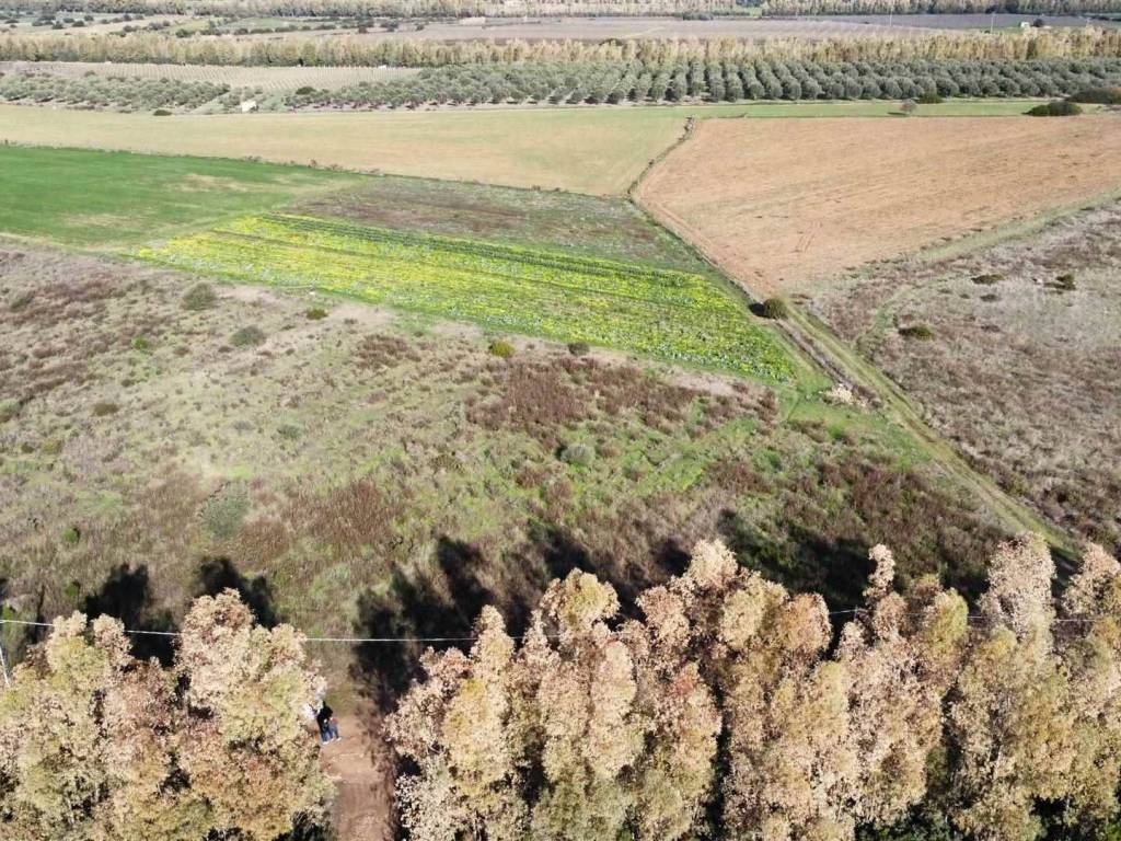 Terreno a Sant'anna arresi - Foto 3
