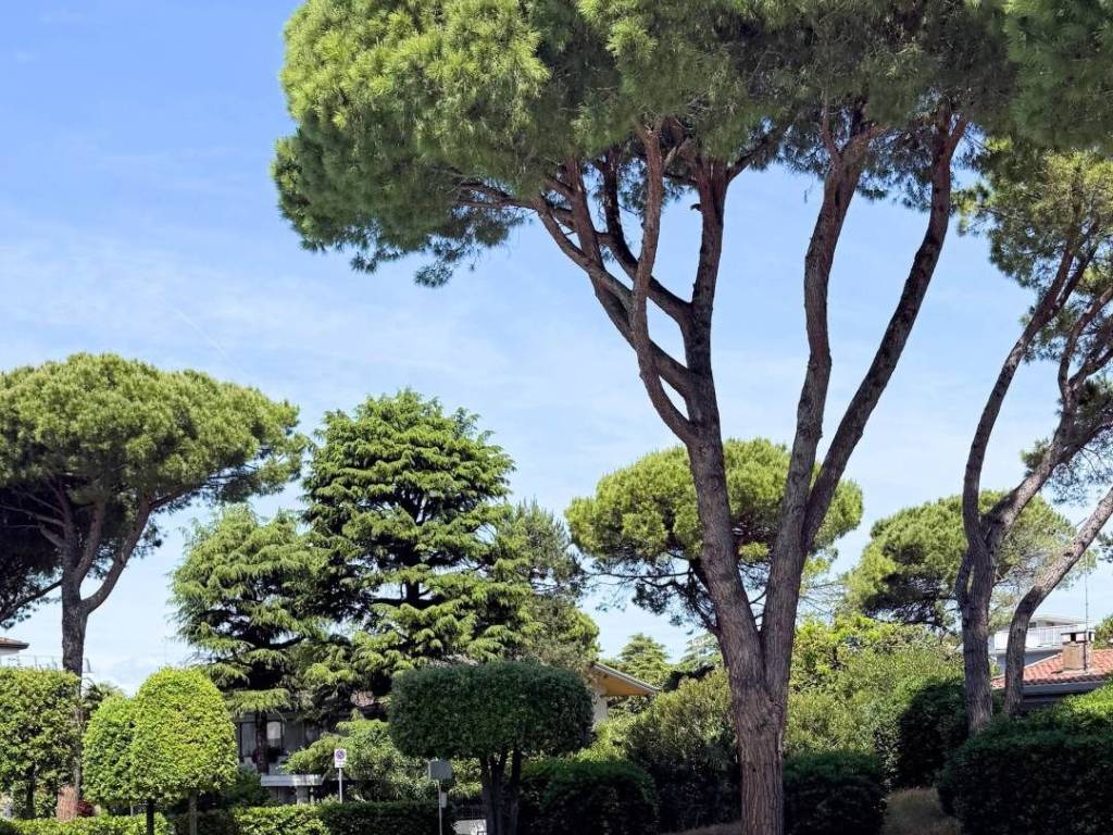 Villa a San michele al tagliamento in via lira, 79 - Foto 5