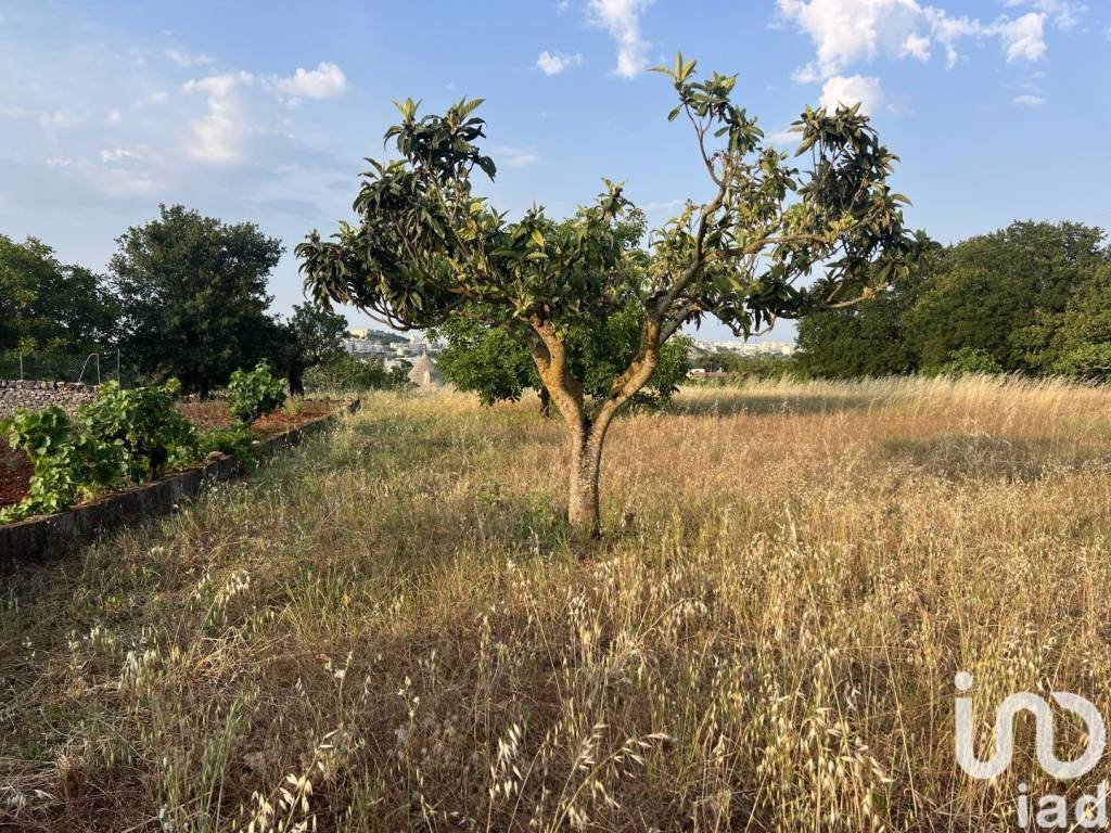 Villa a Cisternino in Strada barbagiulo - Foto 5