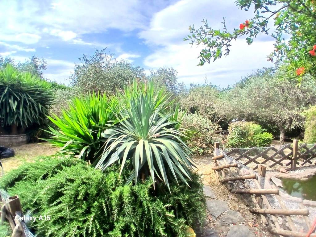 Villa a Sarzana - Foto 3