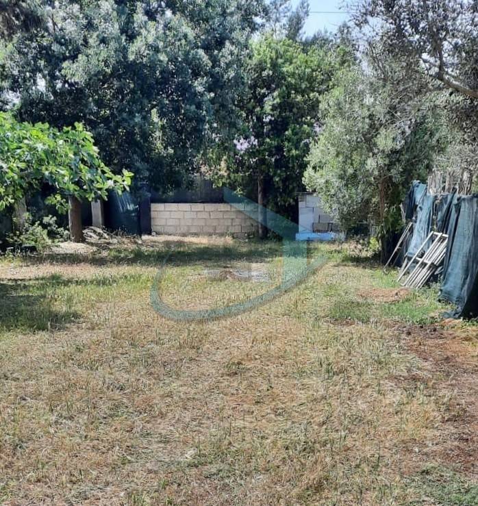Villa a Salve in Strada Vicinale Terramascia - Foto 4