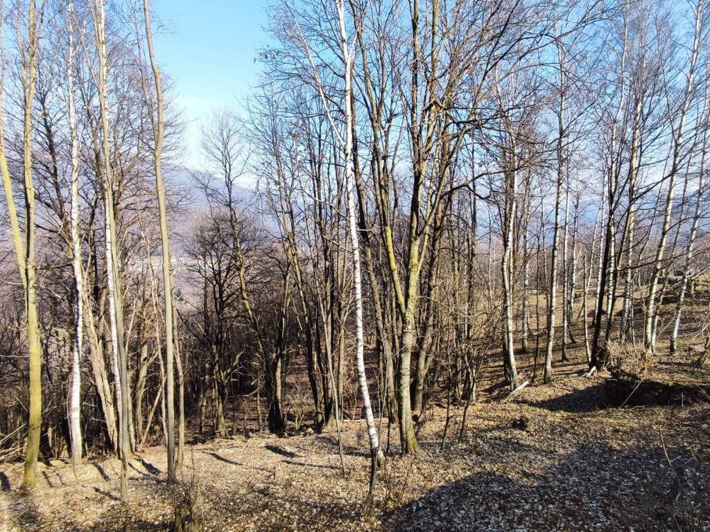 Rustico / casale a Paesana in Borgata Garzini Croesio - Foto 5