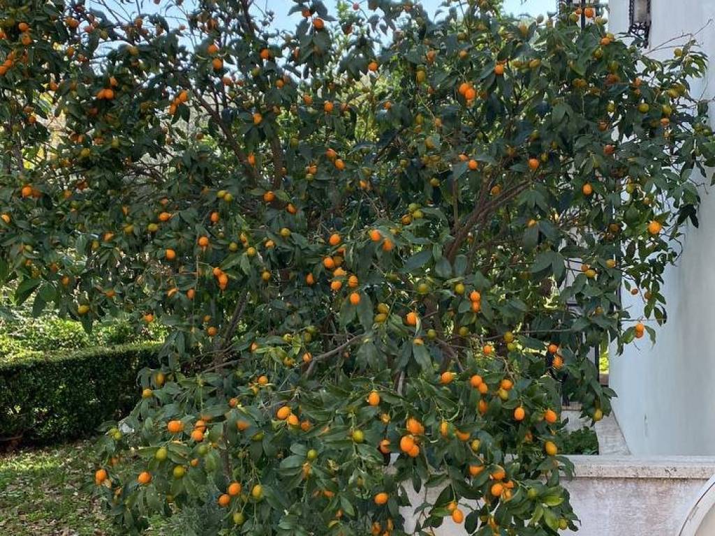 Appartamento a Sperlonga in Via dei Gelsi, 122 - Foto 3